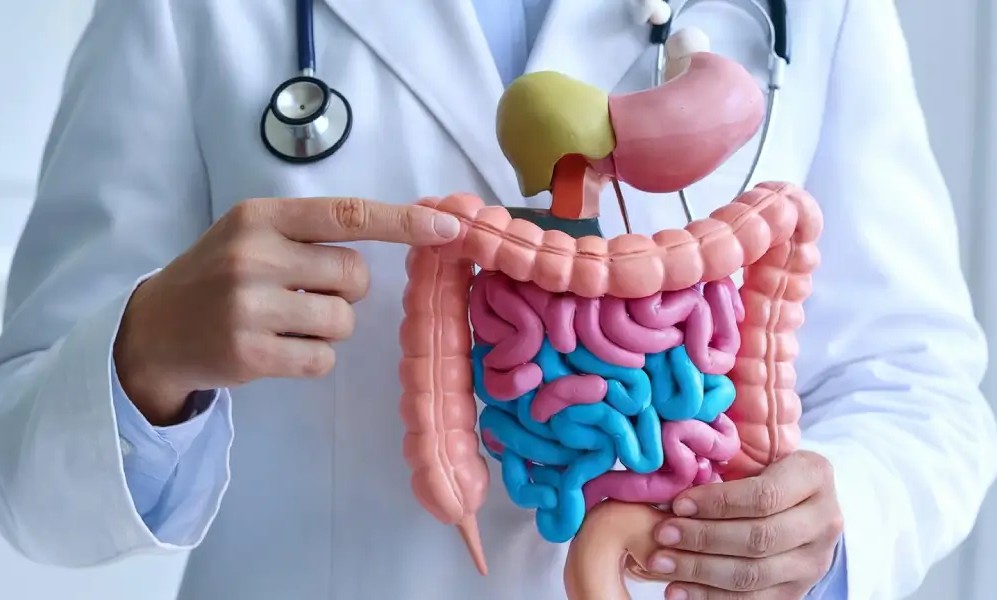 Gastroenterology