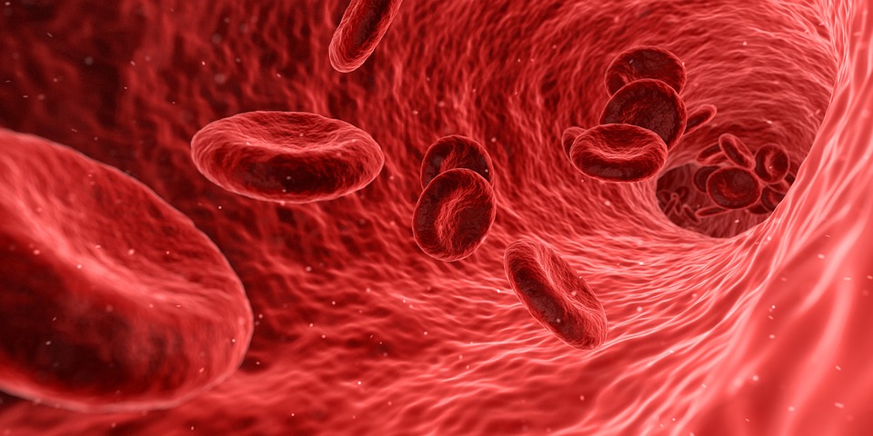 Haematology