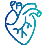 Cardiology