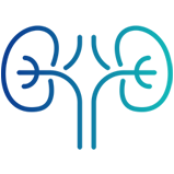 Nephrology