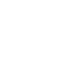 Spine 